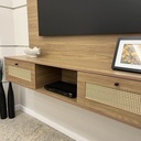 Panel TV Trama