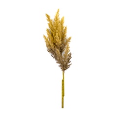 [230030220] Pasto artificial 82cm